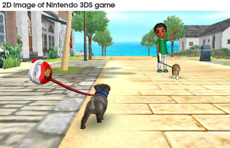 Nintendogs + Cats Toy Poodle Nintendo Selects Nintendo 3DS – Gameplay, spilscene 2