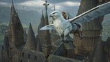 Hogwarts Legacy Warner Bros.