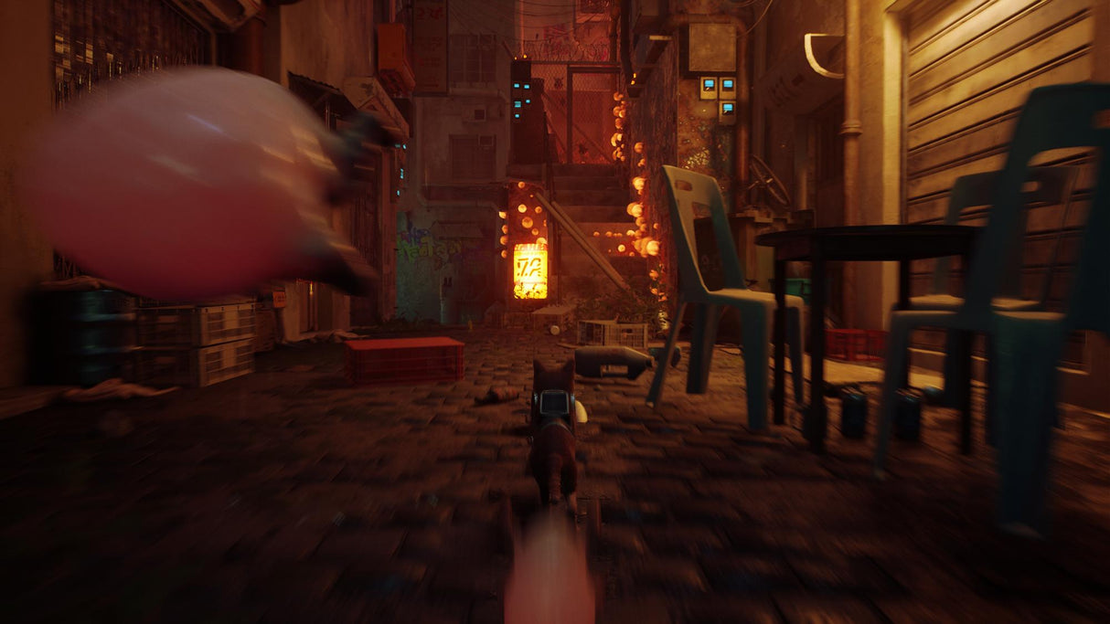 Stray Annapurna Interactive
