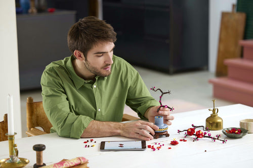 LEGO Botanicals 10369 – Japansk abrikostræ – bygger samler modellen med løse klodser på bordet