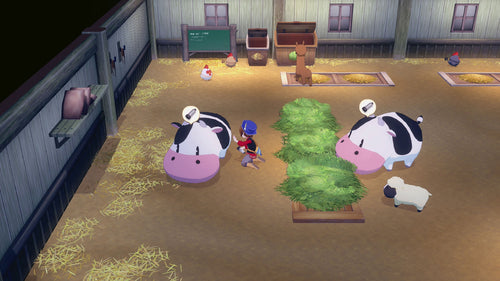 Story of Seasons: Grand Bazaar