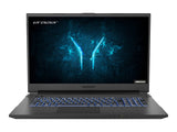 ERAZER Defender P10 i5-10300H 8G 512G RTX3060