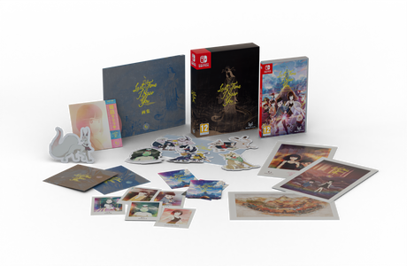 Last Time I Saw You Special Edition – spil og samlerudgavens indhold