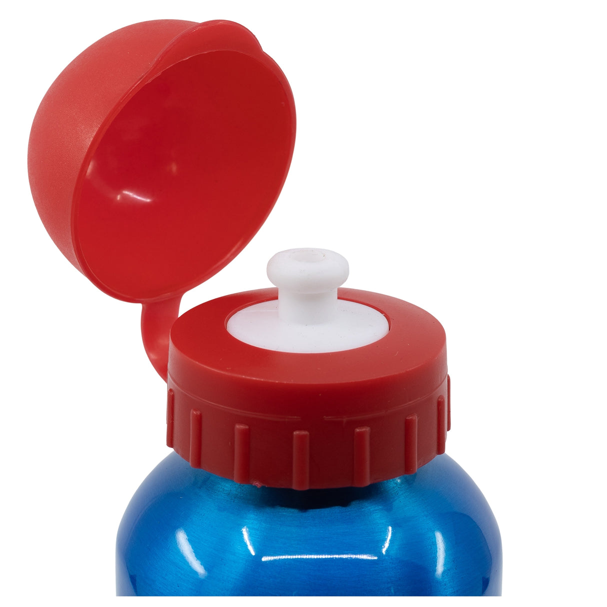 Super Mario - Metallflaska - Blå - 530 ml