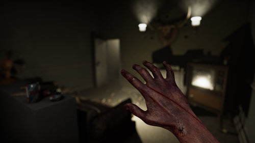 MADiSON (PSVR2) Koch Media