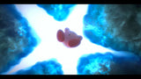 Kirby and the Forgotten Land – NS2E UKV