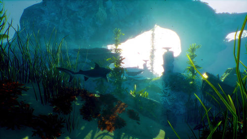 Maneater (Day One Edition) Deep Silver