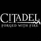 Citadel: Forged With Fire