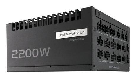 ASUS Pro WS 2200P – sidepanel og modulære stik