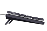 TRUST GXT866 TORIX MEKANISKA TANGENTBORD ND