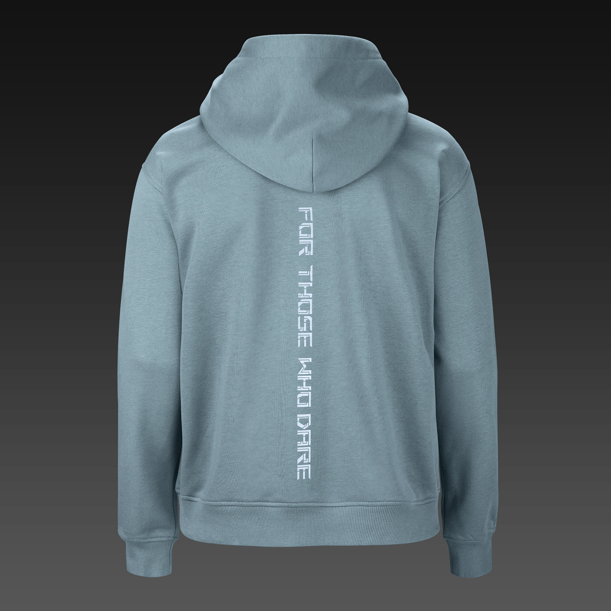 ASUS ROG GRAVITY HOODIE - Normal passform - Blågrå