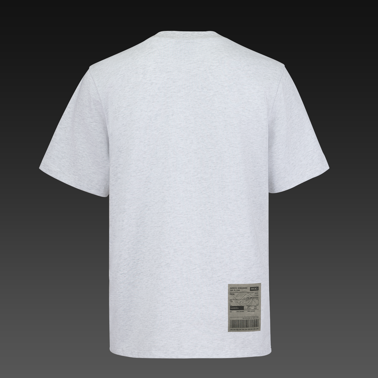 ASUS ROG PIXELVERSE T-shirt - Normal passform - Grå