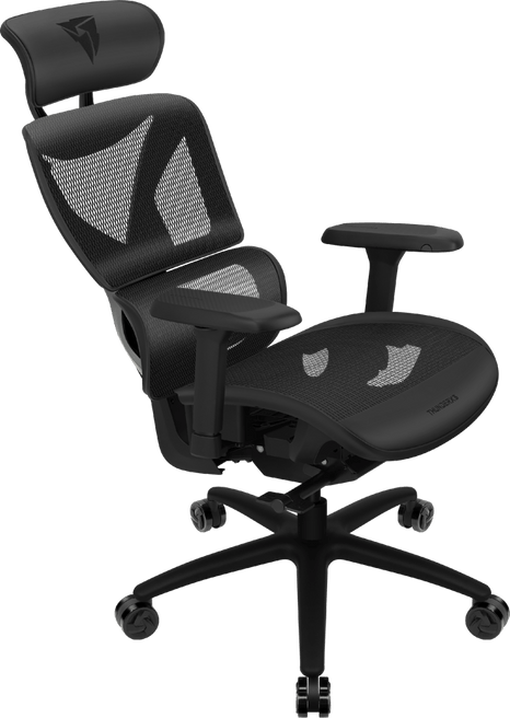 ThunderX3 YTC Mesh Black - Sync5, 125 kg max, 2D armstöd, klass 4 gaslyft