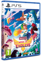 Wings of Endless (Deluxe Edition) – PlayStation 5 – spilomslag