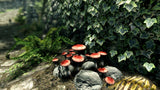 The Elder Scrolls V: Skyrim (UK4)