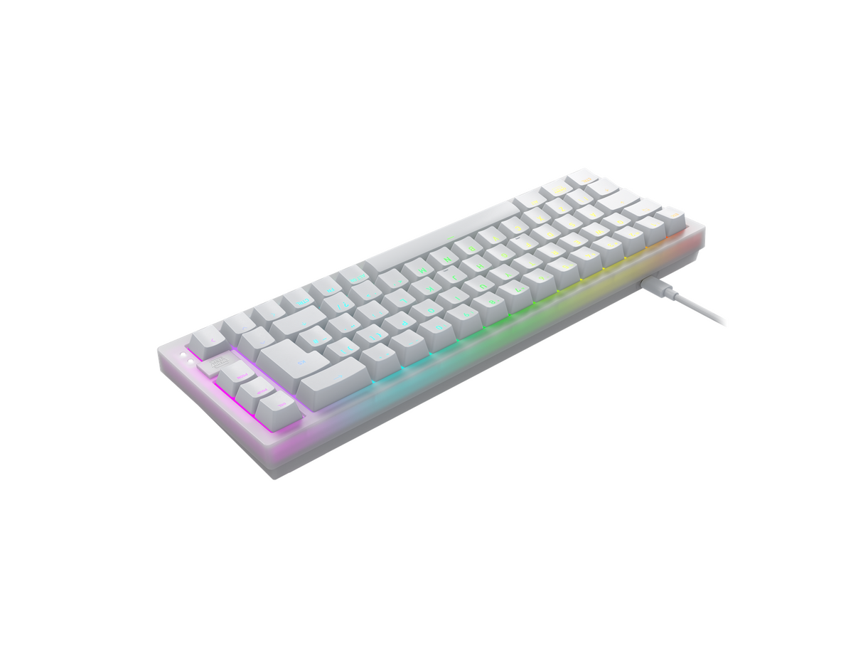 Xtrfy K5V2 RGB, Kompakt Mekaniskt Tangentbord, 65 %, Transparent Vit, Nordisk