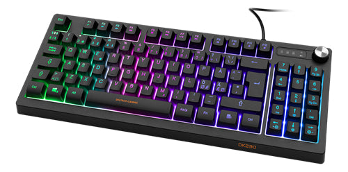 DELTACO GAMING DK230 Tangentbord Membran RGB Kablage Pan Nordic