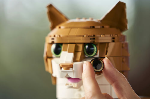 LEGO - LEGO Ideas - Orange Cat (21376.) Lego