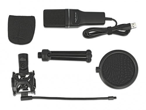 Delock USB Kondensator Mikrofon Set - für Podcasting, Gaming und Gesang DeLOCK