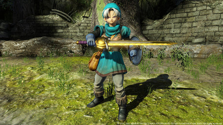 Dragon Quest Heroes 2