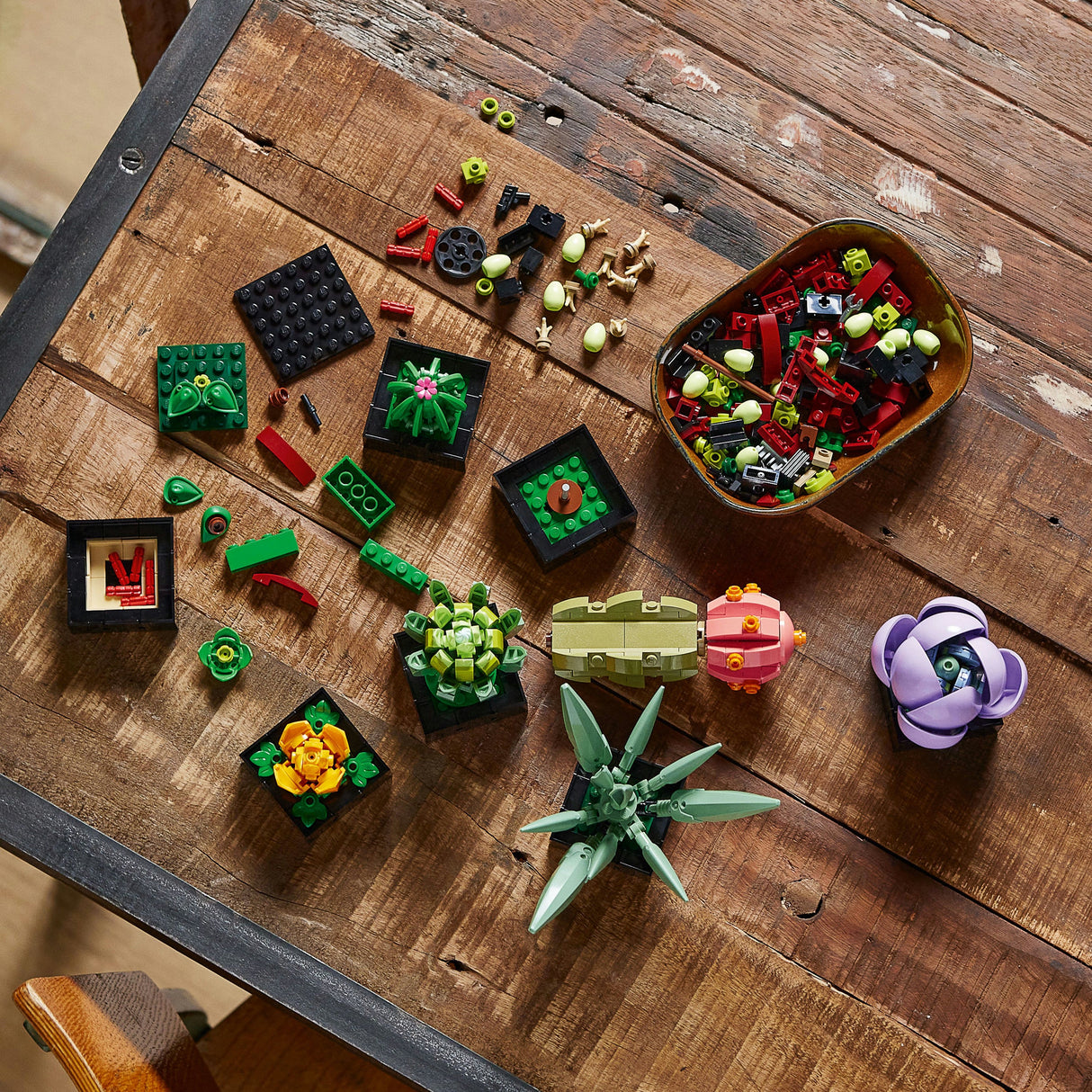 LEGO 10309 Ikoner Suckulenter Konstruktion Leksak