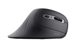 TRUST VERRO WIRELESS ERGO MOUSE TRUST