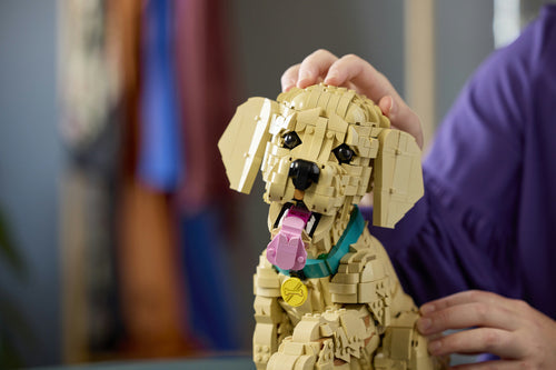 LEGO 11384 Icons - Szczeniak golden retriever Lego