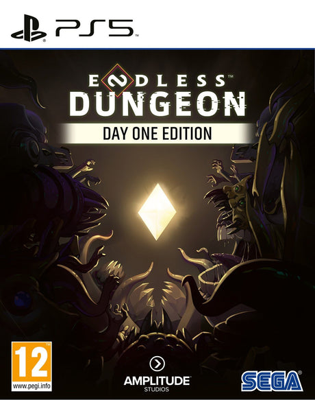 Endless Dungeon (Day One Edition) – PlayStation 5 – spilomslag