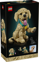 LEGO 11384 Icons - Szczeniak golden retriever Lego