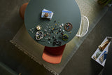 LEGO - Icons - Project Hail Mary (11389)