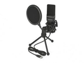 Delock USB Kondensator Mikrofon Set - für Podcasting, Gaming und Gesang DeLOCK
