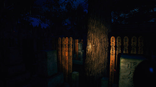The Sinking Forest