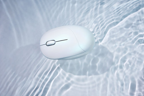 ASUS Fragrance MD101 Optisk Trådløs Pink ASUSTeK COMPUTER