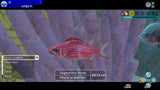 Endless Ocean Luminous (UKV) Nintendo Switch