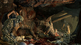Tomb Raider - Game of the Year Edition