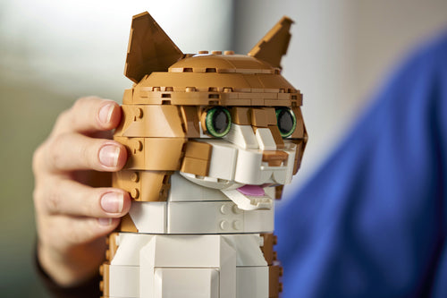 LEGO - LEGO Ideas - Orange Cat (21376.) Lego