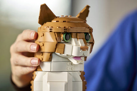 LEGO - LEGO Ideas - Orange Cat (21376.) Lego