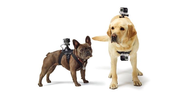 GoPro - Fetch GoPro