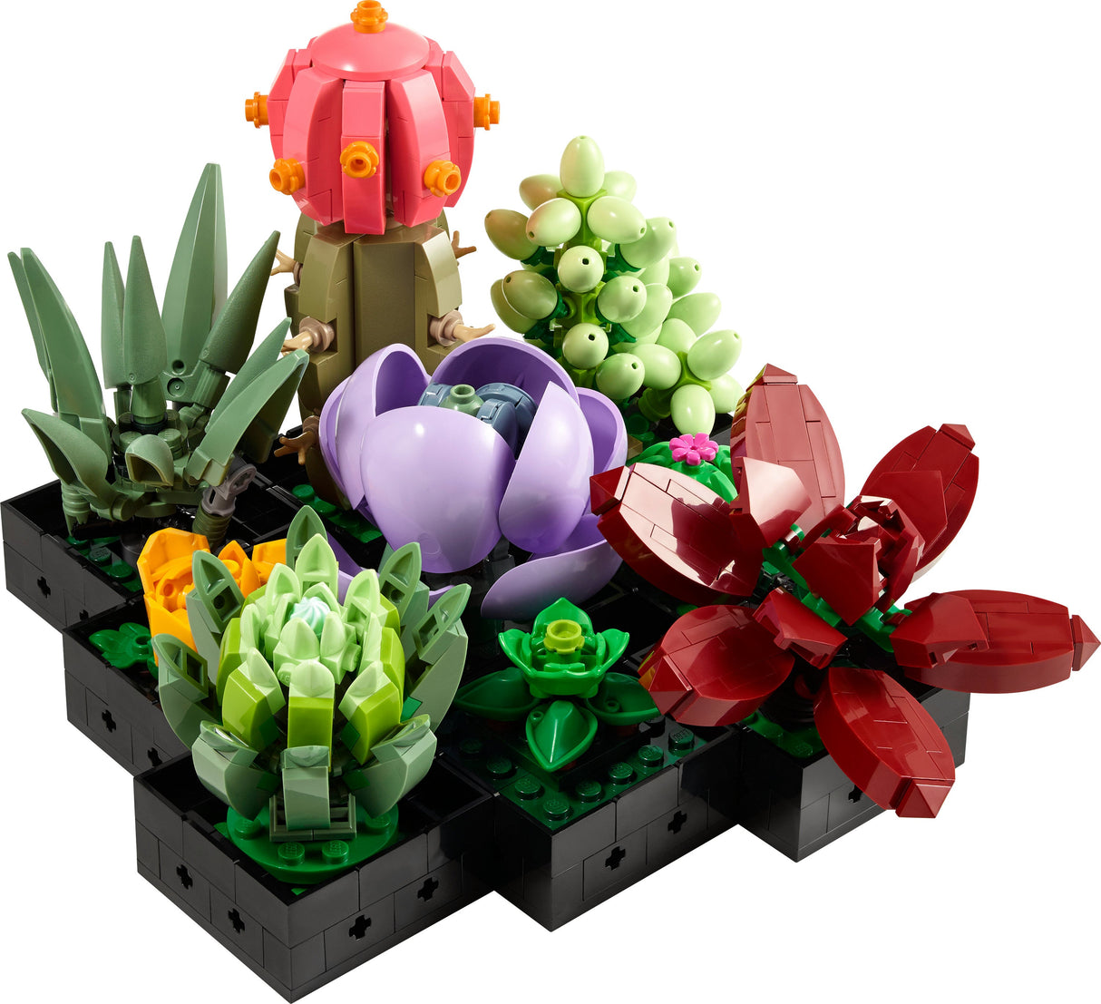 LEGO 10309 Ikoner Suckulenter Konstruktion Leksak
