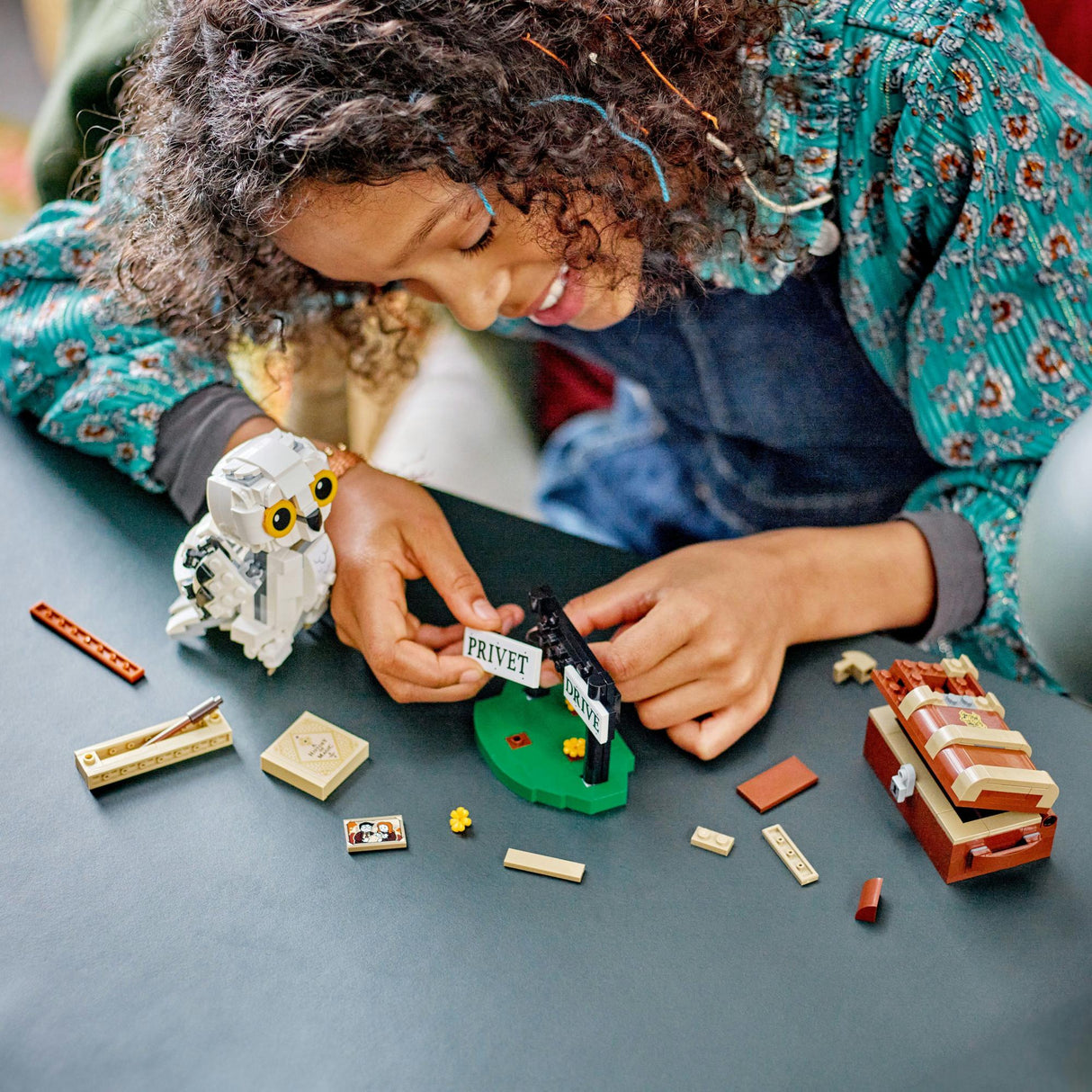 LEGO 76425 Harry Potter Hedwig on Privet Drive LEGO