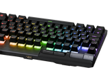 ASUS ROG Strix FLARE II ANIMATE PBT Gaming Tangentbord (NX Red Switches)