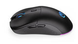 ENDORFY Gem Plus Wireless (schwarz) Endorfy