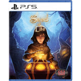 Seed of Life Funbox