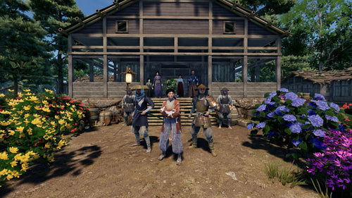 Sengoku Dynasty Ultimate Edition