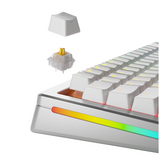Glorious Mechanical Switches (36st) - Panda Silent - [Tactile] 50g