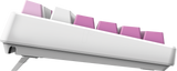 MSI FORGE GK600 TKL Wireless Violet – produktfoto 1