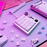 Glorious Numpad Prebuilt - Wireless - White Ice Glorious